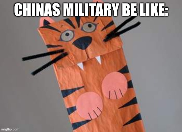 paper tiger | CHINAS MILITARY BE LIKE: | image tagged in paper tiger | made w/ Imgflip meme maker