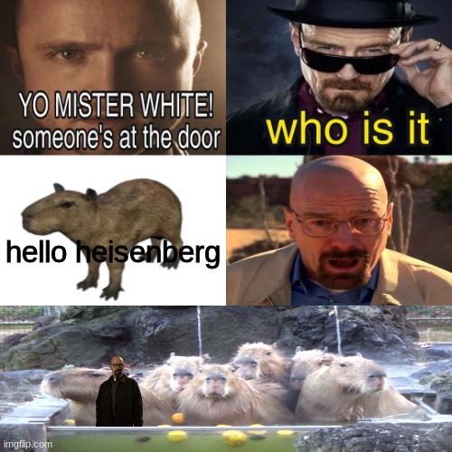 Yo mr white someone at the door | hello heisenberg | image tagged in yo mr white someone at the door | made w/ Imgflip meme maker