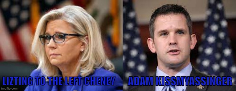 January 6th | ADAM KISSMYASSINGER; LIZTING TO THE LEFT CHENEY | image tagged in democrats,funny memes,looser,funny face,border wall,joe biden | made w/ Imgflip meme maker