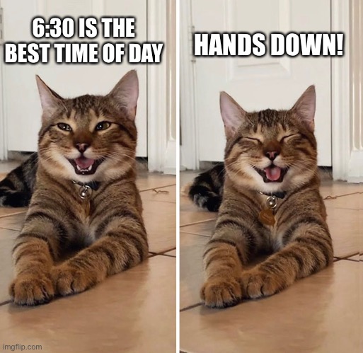6:30 IS THE BEST TIME OF DAY; HANDS DOWN! | image tagged in laughing cat,happy cat,best time | made w/ Imgflip meme maker