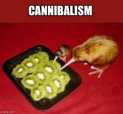 CANNIBALISM | CANNIBALISM | image tagged in memes,funny,animals,kiwi,cute,cursed | made w/ Imgflip meme maker