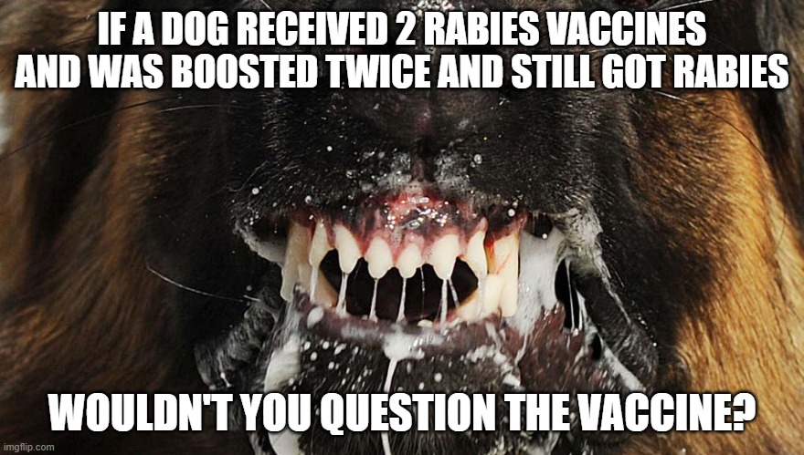 Think about it |  IF A DOG RECEIVED 2 RABIES VACCINES AND WAS BOOSTED TWICE AND STILL GOT RABIES; WOULDN'T YOU QUESTION THE VACCINE? | image tagged in rabid dog,covid,vaccine,democrats,liberals,biden | made w/ Imgflip meme maker