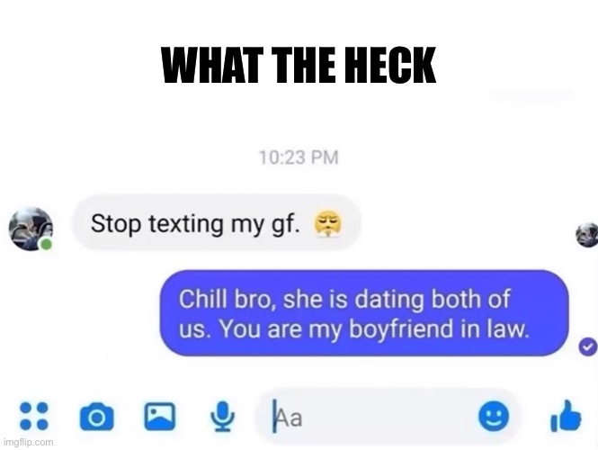 OINK |  WHAT THE HECK | image tagged in memes,funny,funny texts,girlfriend,hol up | made w/ Imgflip meme maker