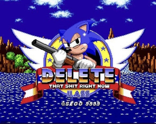 Sonic: DELETE THAT SH*T RIGHT NOW. U A$$ | image tagged in sonic delete that sh t right now u a | made w/ Imgflip meme maker