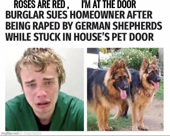 ROSES ARE RED , I'M AT THE DOOR | made w/ Imgflip meme maker