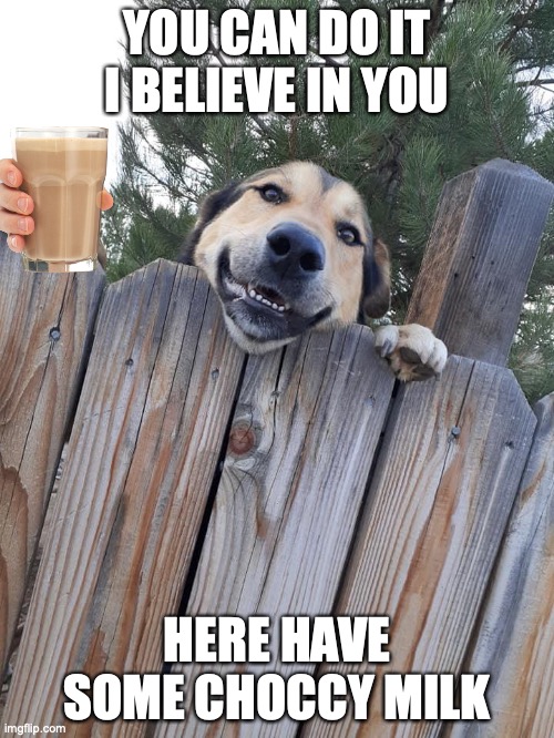 Encouragement doggo |  YOU CAN DO IT I BELIEVE IN YOU; HERE HAVE SOME CHOCCY MILK | image tagged in encouragement doggo | made w/ Imgflip meme maker