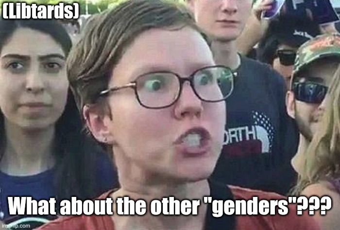 (Libtards) What about the other "genders"??? | image tagged in triggered liberal | made w/ Imgflip meme maker