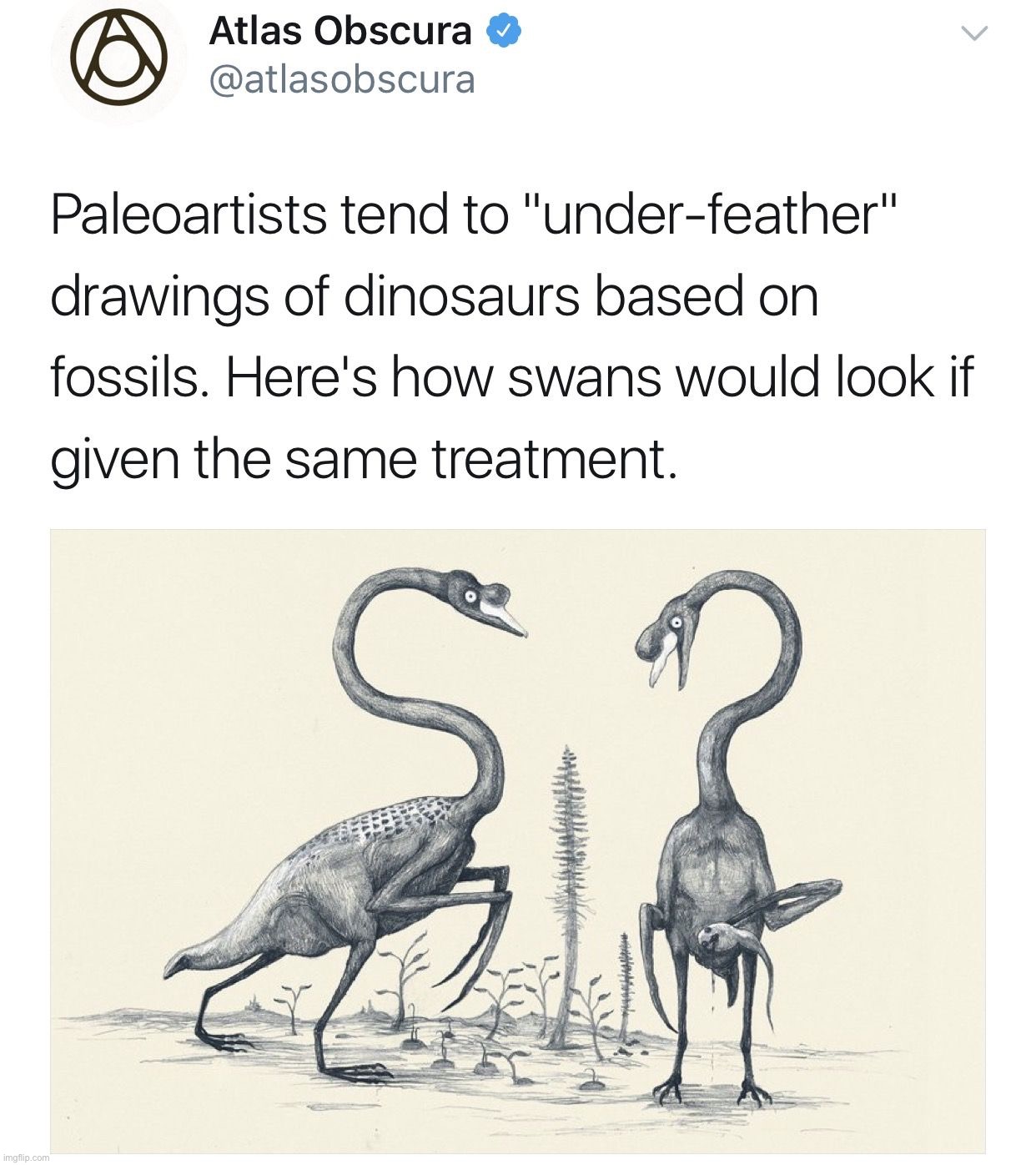 Under feathered dinos | image tagged in under feathered dinos | made w/ Imgflip meme maker