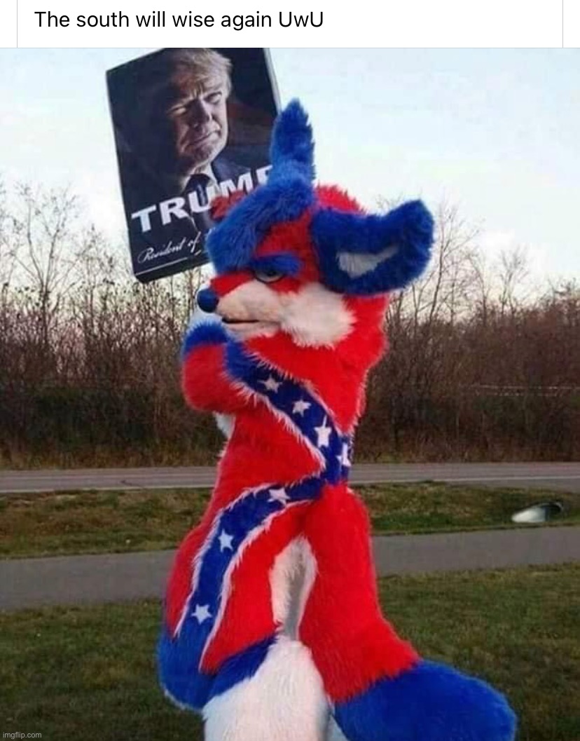 based, UwU maga | image tagged in the south will rise again uwu,maga,magaa,magaaaa,magaaa,magaaaaa | made w/ Imgflip meme maker