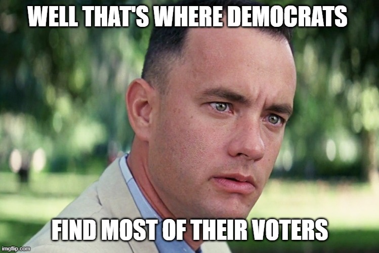 And Just Like That Meme | WELL THAT'S WHERE DEMOCRATS FIND MOST OF THEIR VOTERS | image tagged in memes,and just like that | made w/ Imgflip meme maker