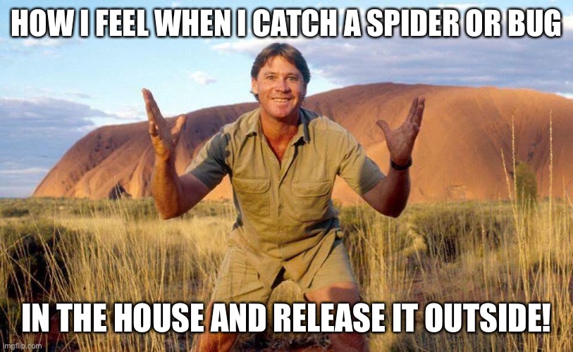 Steve Irwin Crocodile Hunter  | HOW I FEEL WHEN I CATCH A SPIDER OR BUG; IN THE HOUSE AND RELEASE IT OUTSIDE! | image tagged in steve irwin crocodile hunter | made w/ Imgflip meme maker