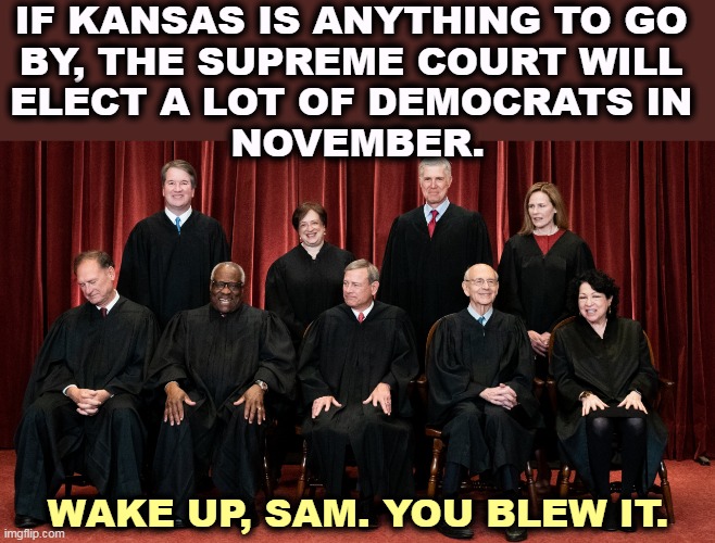 Supreme Court 2021 with Alito asleep | IF KANSAS IS ANYTHING TO GO 
BY, THE SUPREME COURT WILL 
ELECT A LOT OF DEMOCRATS IN 
NOVEMBER. WAKE UP, SAM. YOU BLEW IT. | image tagged in supreme court 2021 with alito asleep,abortion,democrats,turn,out | made w/ Imgflip meme maker