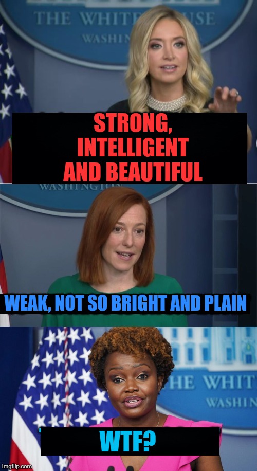 STRONG, INTELLIGENT AND BEAUTIFUL WTF? WEAK, NOT SO BRIGHT AND PLAIN | made w/ Imgflip meme maker