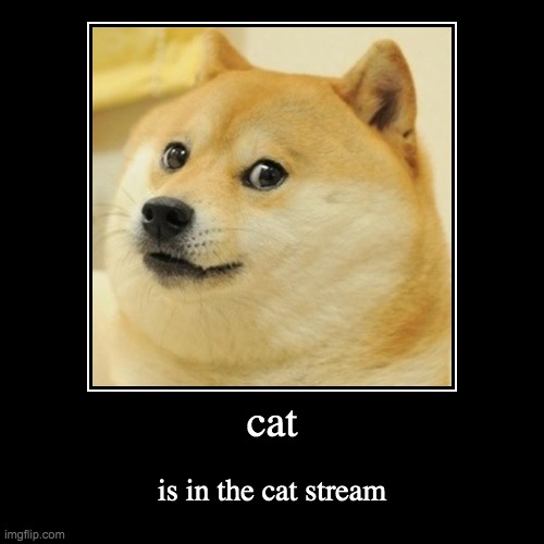 cat | image tagged in funny,demotivationals,cat,undercover,definitely a cat,is not in the cat stream | made w/ Imgflip demotivational maker