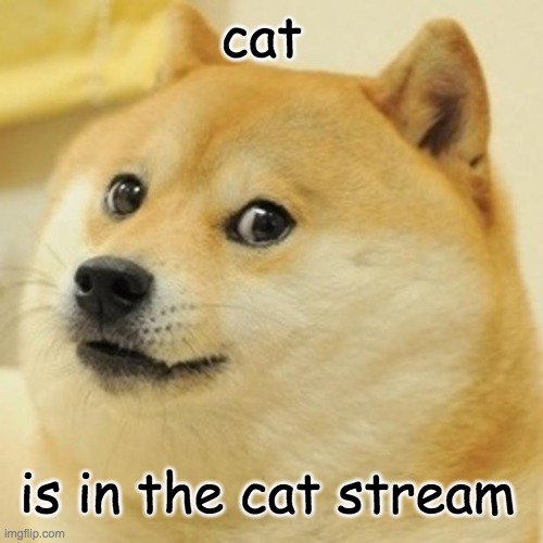 cat | cat; is in the cat stream | image tagged in memes,cat,definitely a cat,big yellow cat,cats,is not in the cat stream | made w/ Imgflip meme maker