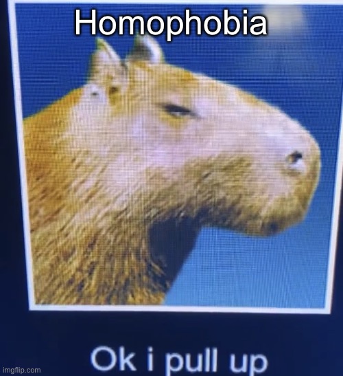 ok i pull up | Homophobia | image tagged in ok i pull up | made w/ Imgflip meme maker