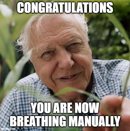 a | CONGRATULATIONS; YOU ARE NOW BREATHING MANUALLY | image tagged in sir david attenborough | made w/ Imgflip meme maker