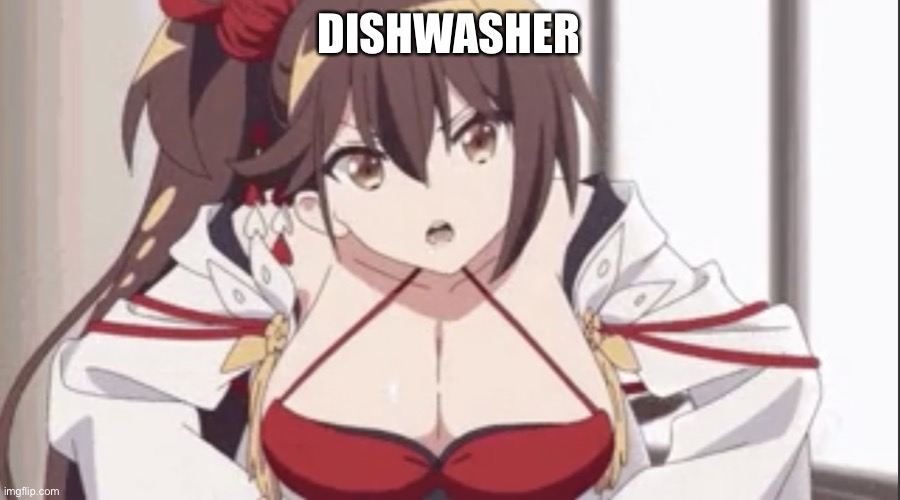 idk | DISHWASHER | image tagged in zuikaku scolding you | made w/ Imgflip meme maker