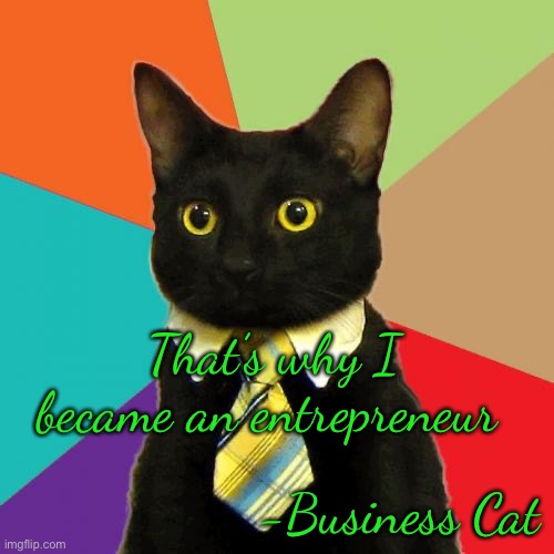 Business Cat Meme | That’s why I became an entrepreneur -Business Cat | image tagged in memes,business cat | made w/ Imgflip meme maker