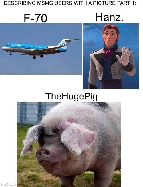 Blank White Template | DESCRIBING MSMG USERS WITH A PICTURE PART 1:; Hanz. F-70; TheHugePig | image tagged in blank white template | made w/ Imgflip meme maker