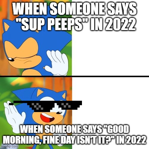 England be like | WHEN SOMEONE SAYS  ''SUP PEEPS" IN 2022; WHEN SOMEONE SAYS "GOOD MORNING, FINE DAY ISN'T IT?" IN 2022 | image tagged in sonic mania | made w/ Imgflip meme maker