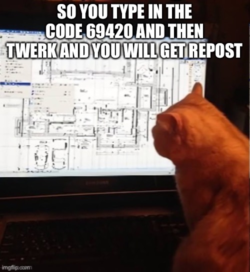 calculating cat | SO YOU TYPE IN THE CODE 69420 AND THEN TWERK AND YOU WILL GET REPOST | image tagged in calculating cat | made w/ Imgflip meme maker