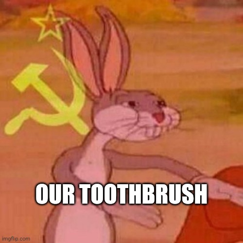 Pernalonga | OUR TOOTHBRUSH | image tagged in pernalonga | made w/ Imgflip meme maker