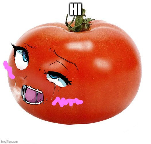 tomatussy | HI | image tagged in tomatussy | made w/ Imgflip meme maker