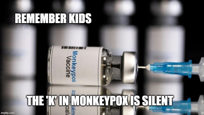 K is silent | REMEMBER KIDS; THE 'K' IN MONKEYPOX IS SILENT | image tagged in monkey,virus,monkeypox | made w/ Imgflip meme maker