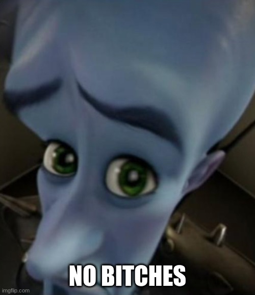 dont be sad | NO BITCHES | image tagged in sad megamind | made w/ Imgflip meme maker
