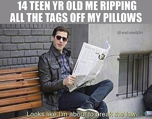 I BROKE THE LAW SO WHAT BIG DILL EVERYONES DOING IT! | 14 TEEN YR OLD ME RIPPING ALL THE TAGS OFF MY PILLOWS | image tagged in looks like i'm about to break the law,meme | made w/ Imgflip meme maker