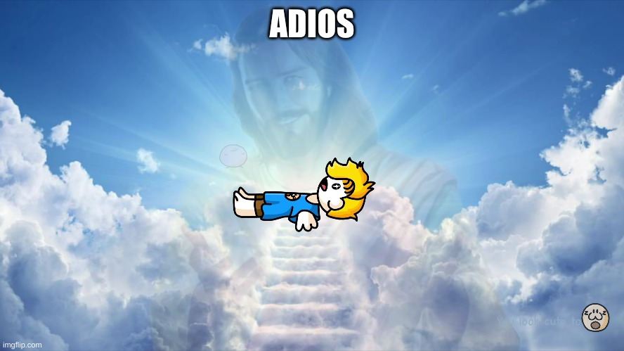 the apotheosis of Bryson | ADIOS | image tagged in the apotheosis of bryson | made w/ Imgflip meme maker