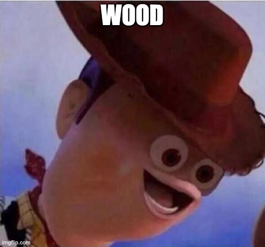 woody | WOOD | image tagged in woody | made w/ Imgflip meme maker