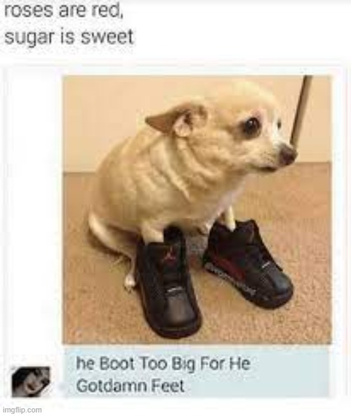 boot too big | made w/ Imgflip meme maker