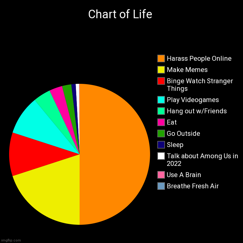 Chart of Life | Chart of Life | Breathe Fresh Air, Use A Brain, Talk about Among Us in 2022, Sleep, Go Outside, Eat, Hang out w/Friends, Play Videogames, Bi | image tagged in charts,pie charts,so true memes | made w/ Imgflip chart maker