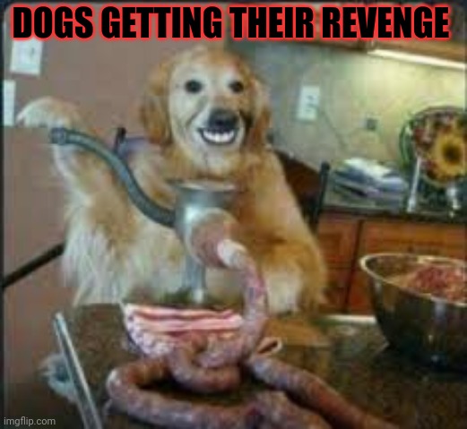 MEAT DOG | DOGS GETTING THEIR REVENGE | image tagged in meat dog | made w/ Imgflip meme maker