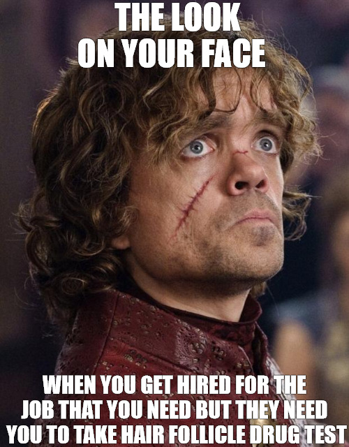 THE MAN HASNT WORKED IN 2YRS BLOWS CHANCE THEN GOES VIRAL | THE LOOK ON YOUR FACE; WHEN YOU GET HIRED FOR THE JOB THAT YOU NEED BUT THEY NEED  YOU TO TAKE HAIR FOLLICLE DRUG TEST | image tagged in look on your face when game of thrones season ends | made w/ Imgflip meme maker