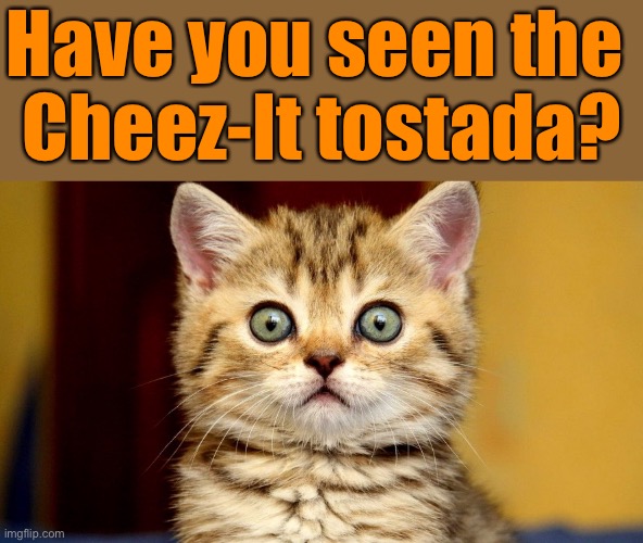 Have you seen the 
Cheez-It tostada? | made w/ Imgflip meme maker