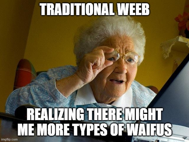 aaaa | TRADITIONAL WEEB; REALIZING THERE MIGHT ME MORE TYPES OF WAIFUS | image tagged in memes,grandma finds the internet,nextgenwaifus,nextgenweebs | made w/ Imgflip meme maker
