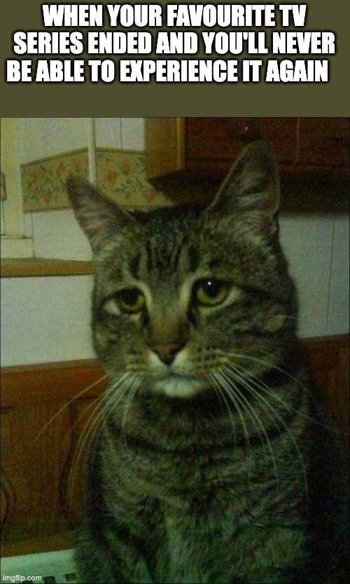 Depressed Cat |  WHEN YOUR FAVOURITE TV SERIES ENDED AND YOU'LL NEVER BE ABLE TO EXPERIENCE IT AGAIN | image tagged in memes,depressed cat | made w/ Imgflip meme maker