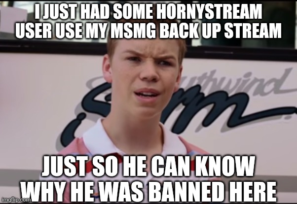 *Confused* | I JUST HAD SOME HORNYSTREAM USER USE MY MSMG BACK UP STREAM; JUST SO HE CAN KNOW WHY HE WAS BANNED HERE | image tagged in you guys are getting paid | made w/ Imgflip meme maker