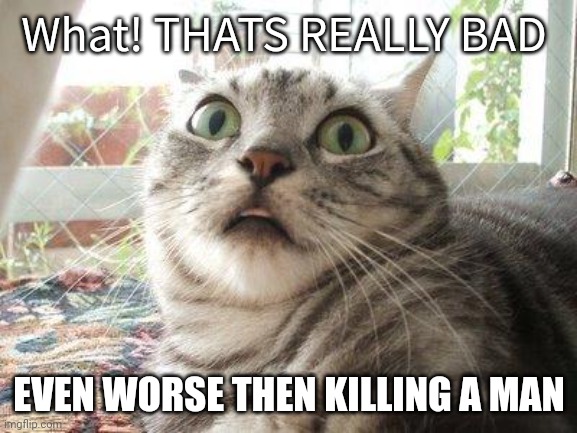 shocked cat | What! THATS REALLY BAD EVEN WORSE THEN KILLING A MAN | image tagged in shocked cat | made w/ Imgflip meme maker