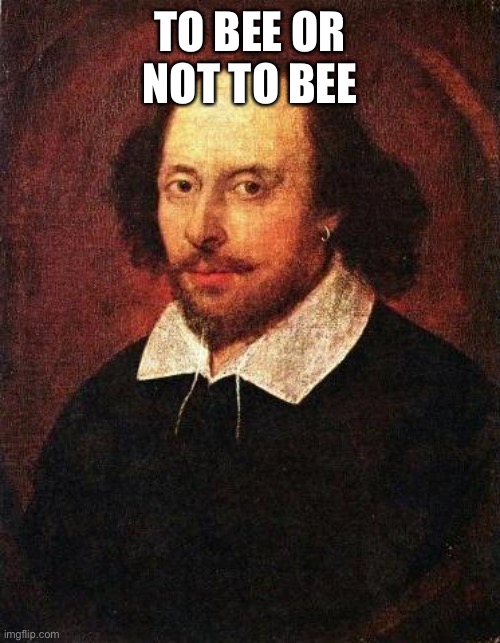 Shakespeare | TO BEE OR NOT TO BEE | image tagged in shakespeare | made w/ Imgflip meme maker