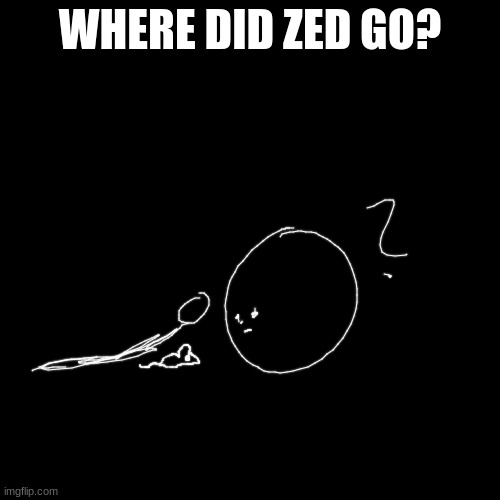 Blank Transparent Square | WHERE DID ZED GO? | image tagged in memes,blank transparent square | made w/ Imgflip meme maker