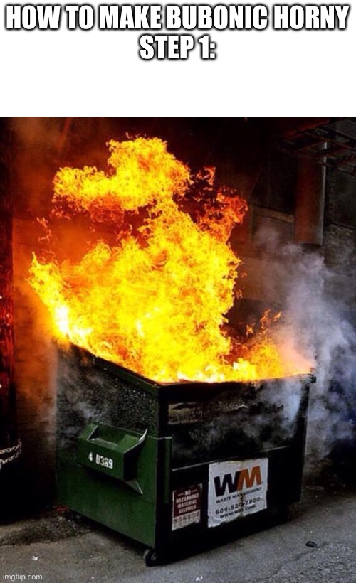 Dumpster Fire | HOW TO MAKE BUBONIC HORNY
STEP 1: | image tagged in dumpster fire | made w/ Imgflip meme maker