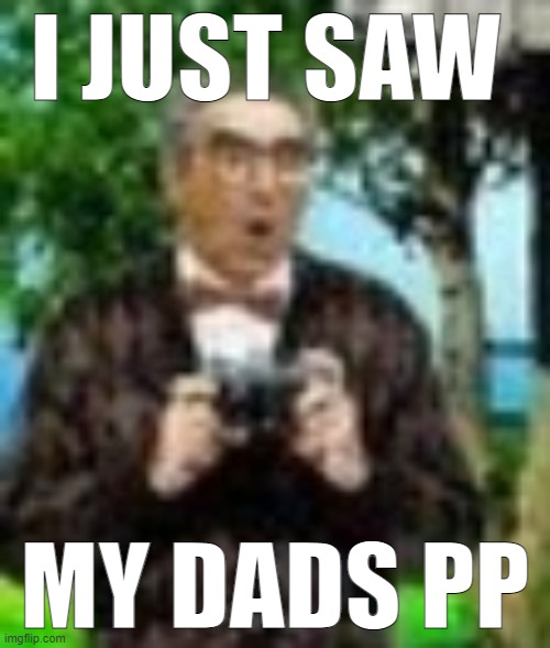 racial slurs | I JUST SAW; MY DADS PP | image tagged in when bobbies | made w/ Imgflip meme maker