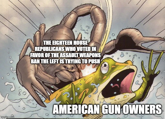 Inevitable Betrayal | THE EIGHTEEN HOUSE REPUBLICANS WHO VOTED IN FAVOR OF THE ASSAULT WEAPONS BAN THE LEFT IS TRYING TO PUSH; AMERICAN GUN OWNERS | image tagged in inevitable betrayal | made w/ Imgflip meme maker