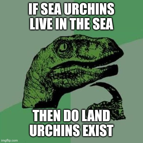 Land Urchins |  IF SEA URCHINS LIVE IN THE SEA; THEN DO LAND URCHINS EXIST | image tagged in raptor,sea life,hmmm | made w/ Imgflip meme maker