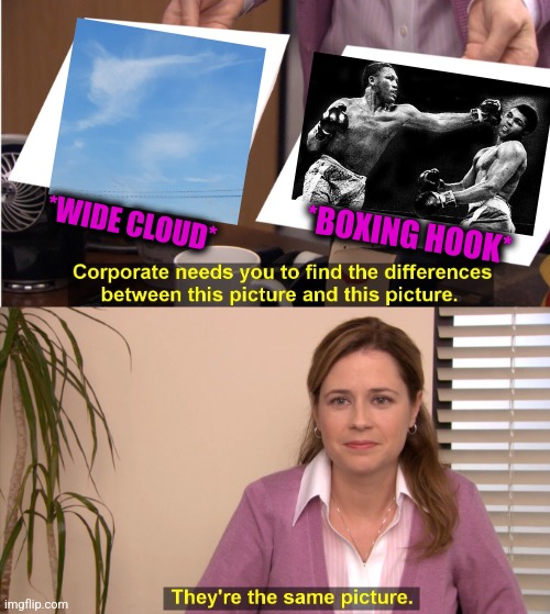 -K.O. | *WIDE CLOUD*; *BOXING HOOK* | image tagged in memes,they're the same picture,boxing day,hook,how to handle fame,totally looks like | made w/ Imgflip meme maker