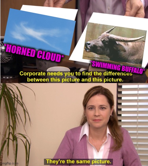 -Lol. | *HORNED CLOUD*; *SWIMMING BUFFALO* | image tagged in memes,they're the same picture,buffalo bill,swimming pool,soundcloud,funny animals | made w/ Imgflip meme maker